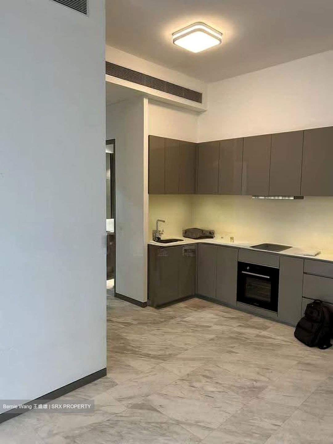 Robin Residences (D10), Condominium #611727121